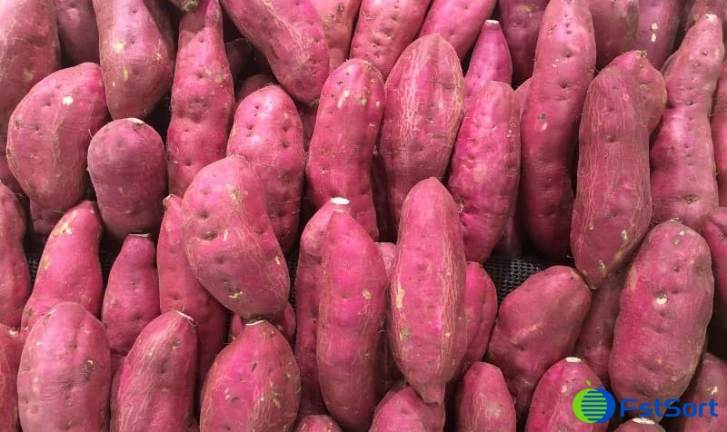 images/1742798463738sweet potatoes.jpg